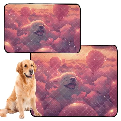 Hundematte, waschbar, rutschfest, 61 x 91,4 cm + 91,4 x 106,7 cm, niedlicher Hundeballon, 2 Stück Hundematte, waschbar, rutschfest, 61 x 91,4 cm + 91,4 x 106,7 cm, niedlicher Hundeballon, 2 Stück von siphylline