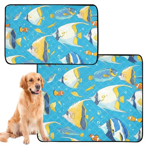 Hundematte, waschbar, rutschfest, für Boden, 61 x 91,4 cm + 91,4 x 106,7 cm, Meerestiere, Blau, 2 Stück Hundematte, waschbar, rutschfest, für Boden, 61 x 91,4 cm + 91,4 x 106,7 cm, Meerestiere, Blau, 2 Stück von siphylline