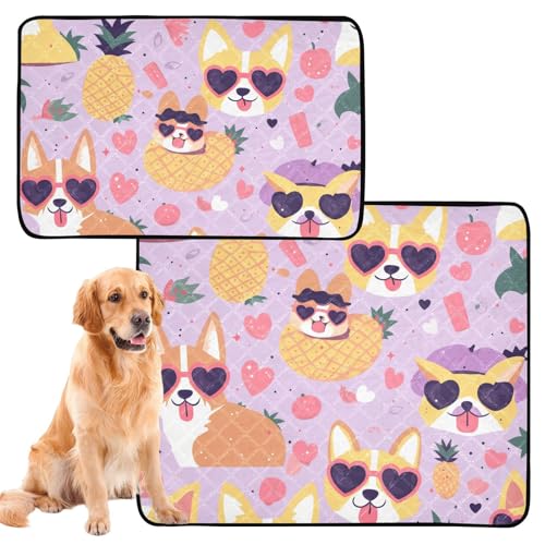 Hundematte, waschbar, rutschfest, für Reisen, 61 x 91,4 cm + 91,4 x 106,7 cm, 2 Stück Hundematte, waschbar, rutschfest, für Reisen, 61 x 91,4 cm + 91,4 x 106,7 cm, 2 Stück von siphylline