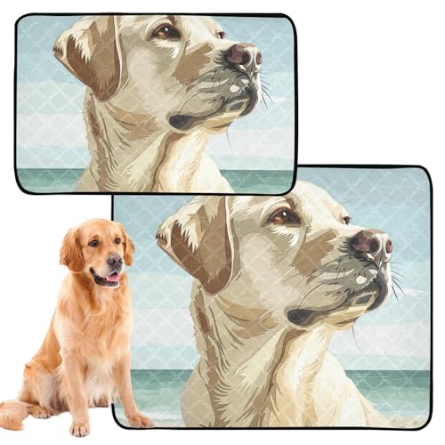 Hundematte, waschbar, rutschfest, für Reisen, 61 x 91,4 cm + 91,4 x 106,7 cm, 2 Stück Hundematte, waschbar, rutschfest, für Reisen, 61 x 91,4 cm + 91,4 x 106,7 cm, 2 Stück von siphylline