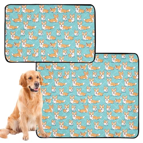 Hundematte für Hunde, waschbar, rutschfest, für Rasen, 61 x 91,4 cm + 91,4 x 106,7 cm, 2 Stück Hundematte für Hunde, waschbar, rutschfest, für Rasen, 61 x 91,4 cm + 91,4 x 106,7 cm, 2 Stück von siphylline