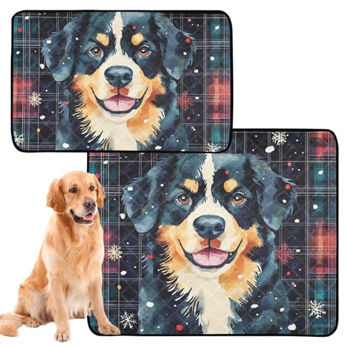 Hundematte für Katzen, waschbar, rutschfest, für Autositz, 61 x 91,4 cm + 91,4 x 106,7 cm, bunt, 2 Stück Hundematte für Katzen, waschbar, rutschfest, für Autositz, 61 x 91,4 cm + 91,4 x 106,7 cm, bunt, 2 Stück von siphylline