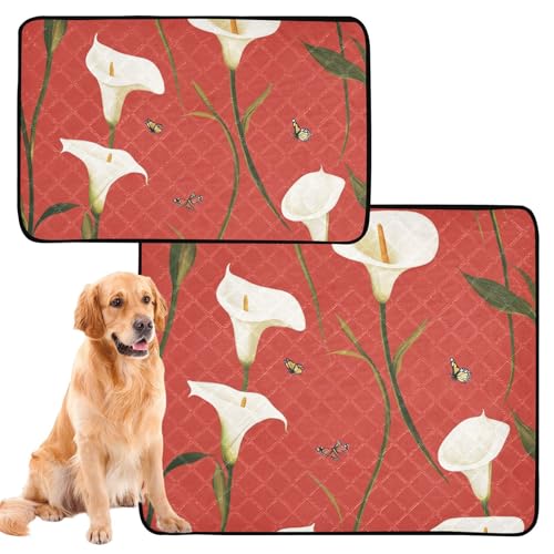 Hundematte für Urinierunterlagen, rutschfeste Bodenmatte für Auto und Flugzeug, 61 x 91,4 cm + 91,4 x 106,7 cm, Cartoon-Calla-Lilie, Rot, 2 Stück Hundematte für Urinierunterlagen, rutschfeste Bodenmatte für Auto und Flugzeug, 61 x 91,4 cm + 91,4 x 106,7 cm, Cartoon-Calla-Lilie, Rot, 2 Stück von siphylline