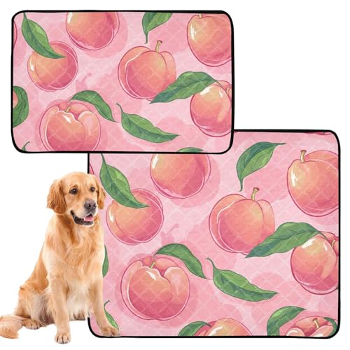 Hundeunterlagen, waschbar, wasserdicht, rutschfest, für den Innenbereich, 61 x 91,4 cm + 91,4 x 106,7 cm, niedliches Cartoon-Design, Pfirsichrot, 2 Stück Hundeunterlagen, waschbar, wasserdicht, rutschfest, für den Innenbereich, 61 x 91,4 cm + 91,4 x 106,7 cm, niedliches Cartoon-Design, Pfirsichrot, 2 Stück von siphylline