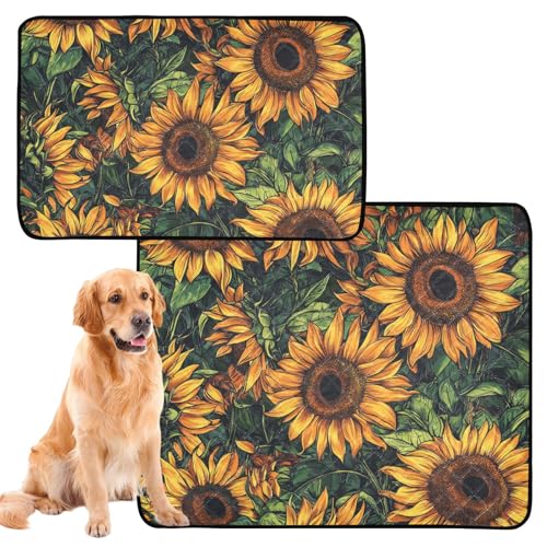Katzen-Haustier-Matten, waschbar, rutschfest, für den Boden, 61 x 91,4 cm + 91,4 x 106,7 cm, Sonnenblumen, Sommerblumen, 2 Stück Katzen-Haustier-Matten, waschbar, rutschfest, für den Boden, 61 x 91,4 cm + 91,4 x 106,7 cm, Sonnenblumen, Sommerblumen, 2 Stück von siphylline