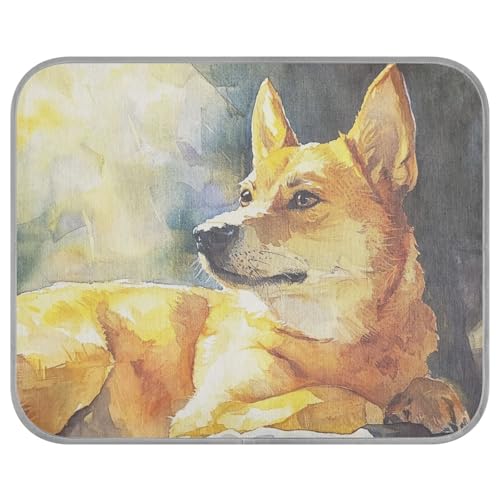 siphylline Kühlkissen für Hunde, selbstkühlende Betten für Katzen, Hamster, Katzen, Outdoor-Essentials, Manta Fria para Perros, S, Aquarell, Gelb siphylline Kühlkissen für Hunde, selbstkühlende Betten für Katzen, Hamster, Katzen, Outdoor-Essentials, Manta Fria para Perros, S, Aquarell, Gelb von siphylline