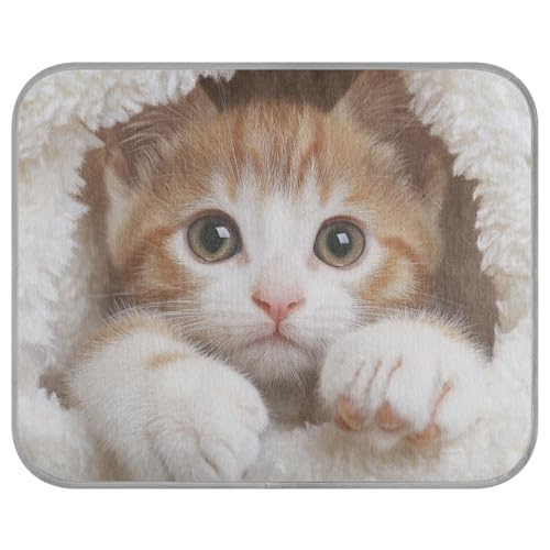 siphylline Süße braune Katze, Sommer, Haustiere, kühlend, selbstkühlendes Pad für Outdoor-Katzen, für draußen, Haustier, Sommer-Manta, Refrescante para perro S von siphylline