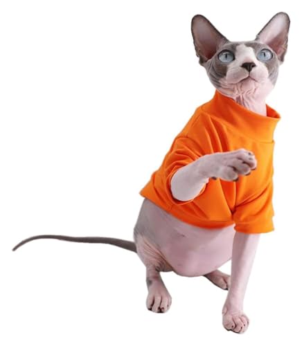Sphynx Haarlose Katzen Kleidung Baumwoll-T-Shirts for haarlose Sphynx-Katzen, Haustierkleidung, Pullover, Kätzchen-T-Shirts mit Ärmeln, Bekleidung for Katzen und kleine Hunde, einfarbig, Schwarz (Col von NXSLONE