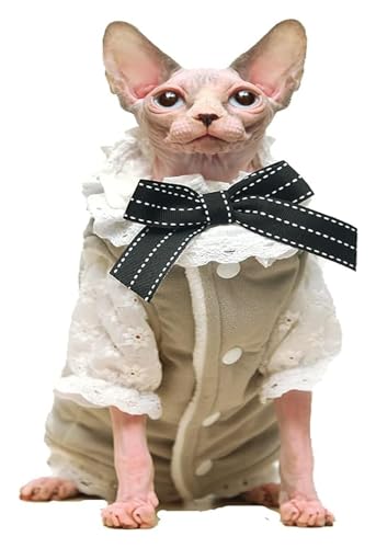 Sphynx Haarlose Katzen Kleidung Sphynx Haarlose Katze, süßes, weiches, atmungsaktives Schutz-Outfit, 2-teiliges Spitzenkleid mit rundem Kragen und Weste, Kätzchen-Kleidung (Size : XXL) von NXSLONE