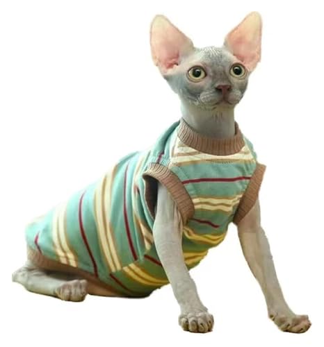 Sphynx Haarlose Katzen Kleidung Sphynx Haarlose Katze, süßes, weiches, atmungsaktives Schutz-Outfit, Einteiler, Weste mit rundem Kragen, Kätzchen-Kleidung (Size : XXXXX-Large) von NXSLONE