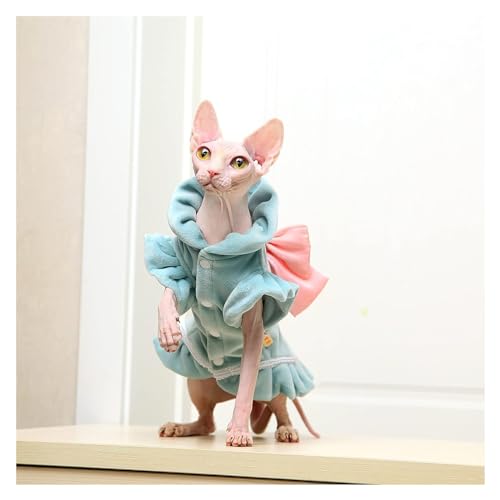 Sphynx Haarlose Katzen Kleidung Sphynx Haarlose Katze, süßes, weiches, atmungsaktives Schutz-Outfit, Samt-Spitzenrock, Kätzchen-Kleidung, haarlose Katzenkleidung (Color : Blue, Size : Large) von skeppy
