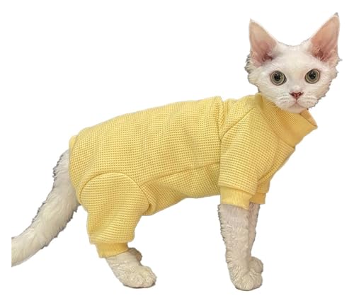 Sphynx Haarlose Katzen Kleidung Sphynx Haarlose Katzenkleidung, modisch, Netz-Elastizität, hoher Kragen, Pullover, Herbst, einfarbig, atmungsaktiv, vierbeiniges Overall-Outfit, Katzenbekleidung ( Colo von NXSLONE