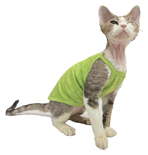 Sphynx Haarlose Katzen Kleidung Sphynx Katzenkleidung Sommer dünne einfarbige Baumwollweste Sieben Farben atmungsaktive haarlose Katzenweste Pullover Träger Tank Tops Katzenbekleidung Pyjamas ( Color von NXSLONE