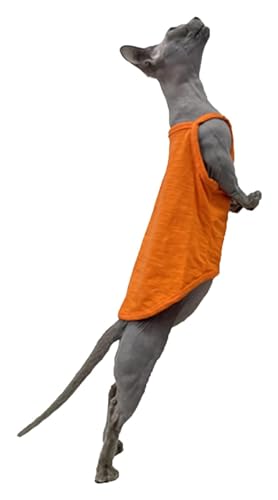 Sphynx Haarlose Katzen Kleidung Sphynx Katzenkleidung Sommer dünne einfarbige Baumwollweste Sieben Farben atmungsaktive haarlose Katzenweste Pullover Träger Tank Tops Katzenbekleidung Pyjamas ( Color von NXSLONE