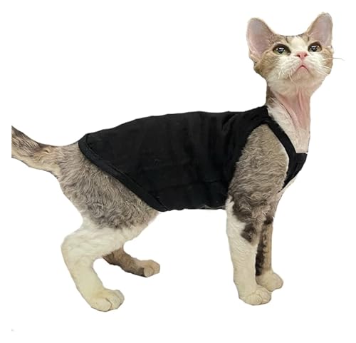 Sphynx Haarlose Katzen Kleidung Sphynx Katzenkleidung Sommer dünne einfarbige Baumwollweste Sieben Farben atmungsaktive haarlose Katzenweste Pullover Träger Tank Tops Katzenbekleidung Pyjamas ( Color von NXSLONE