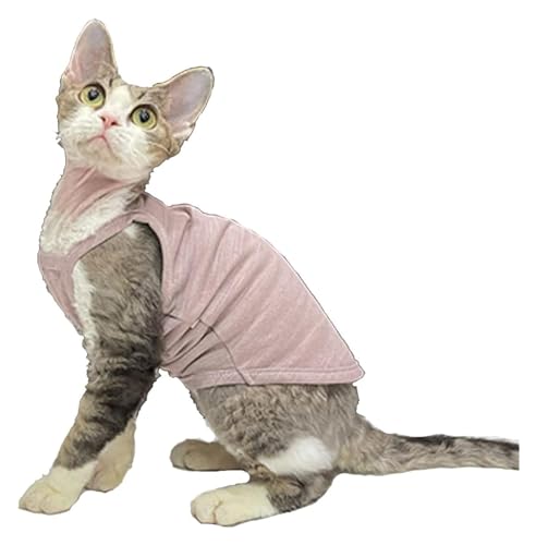 Sphynx Haarlose Katzen Kleidung Sphynx Katzenkleidung Sommer dünne einfarbige Baumwollweste Sieben Farben atmungsaktive haarlose Katzenweste Pullover Träger Tank Tops Katzenbekleidung Pyjamas ( Color von NXSLONE