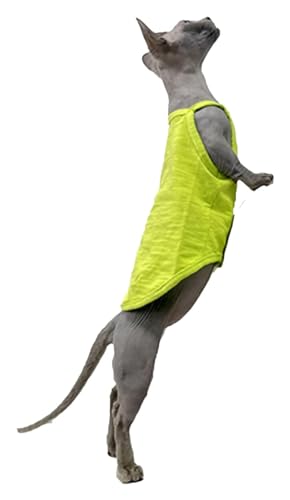 Sphynx Haarlose Katzen Kleidung Sphynx Katzenkleidung Sommer dünne einfarbige Baumwollweste Sieben Farben atmungsaktive haarlose Katzenweste Pullover Träger Tank Tops Katzenbekleidung Pyjamas ( Color von NXSLONE
