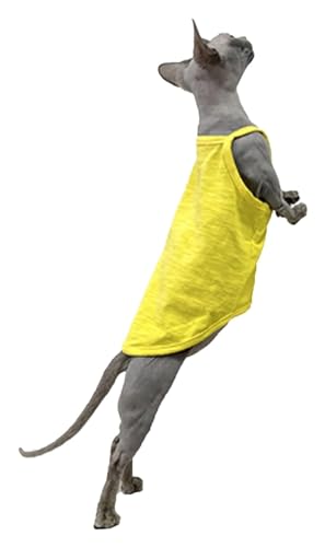 Sphynx Haarlose Katzen Kleidung Sphynx Katzenkleidung Sommer dünne einfarbige Baumwollweste Sieben Farben atmungsaktive haarlose Katzenweste Pullover Träger Tank Tops Katzenbekleidung Pyjamas (Color von NXSLONE