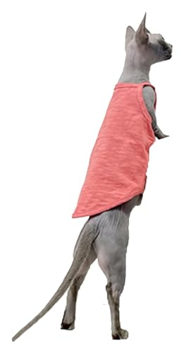 Sphynx Haarlose Katzen Kleidung Sphynx Katzenkleidung Sommer dünne einfarbige Baumwollweste Sieben Farben atmungsaktive haarlose Katzenweste Pullover Träger Tank Tops Katzenbekleidung Pyjamas (Color von NXSLONE