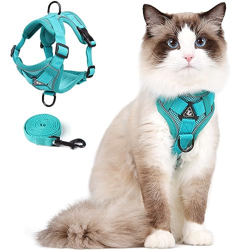 Cat Harness and Leash Set Katzengeschirr mit Leinen Set für Kätzchen, Katzenausbruchsicher Verstellbare Weste mit Leine für Kleine Katzen, Weiche Netzjacke mit Reflektierenden Streifen(L, Grün) von skmeditec