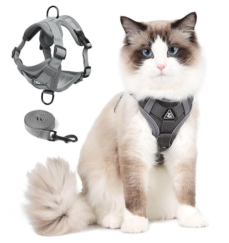 Cat Harness and Leash Set for Kitten, Upgraded Escape Proof Adjustable Vest with Lead for Small Cat Outdoor Walking, Soft Breathable Mesh Jacket with Reflective Stripes for Night… (L, Mature Grey) von skmeditec