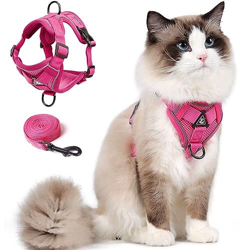 Cat Harness and Leash Set for Kitten,Katzengeschirr mit Leinen-Set, Ausbruchsicher Verstellbare Weste mit Leine für Kätzchen, Weiche Netzjacke mit Reflektierenden Streifen (M, Rosa) von skmeditec