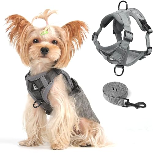 Cat Harness and Leash Set Weste Geschir Leinen Set für kleine Hunde und Große Katze, Katzengeschirr Ausbruchsicher Verstellbare Jacke mit Leine mit Reflektorstreifen für Dicke Katzen,XL Grau von skmeditec