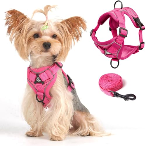 Cat Harness and Leash Set Weste Geschirr Leinen Set für kleine Hunde Große Katzen, Katzen Geschirr Ausbruchsicher, Verstellbare Jacke mit Leine für Dicke Katzen,Netzmantel Reflektorstreifen, XL Rosa von skmeditec