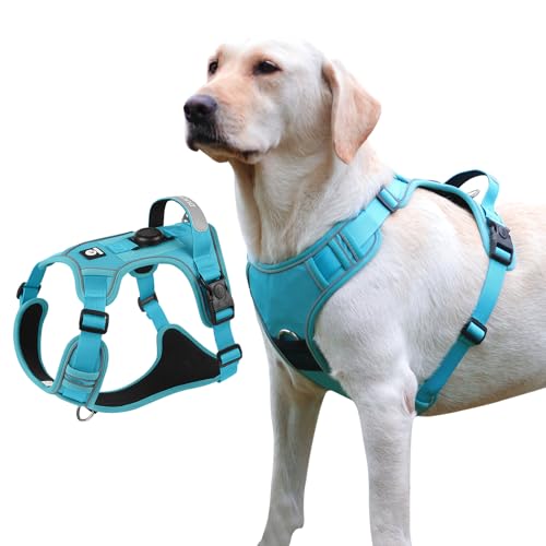 Hundegeschirr mit AirTag-Halter, verstellbare ausbruchsichere Weste für extra große Hunde, kein Würgen, reflektierendes Geschirr mit Griff für einfache Kontrolle, strapazierfähig für Training, Wandern Hundegeschirr mit AirTag-Halter, verstellbare ausbruchsichere Weste für extra große Hunde, kein Würgen, reflektierendes Geschirr mit Griff für einfache Kontrolle, strapazierfähig für Training, Wandern von skmeditec