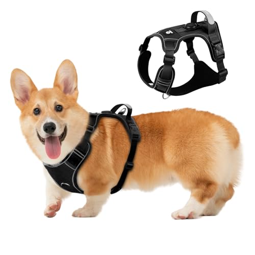 Hundegeschirr mit AirTag-Halter, verstellbare ausbruchsichere Weste für kleine Hunde, kein Würgen, reflektierendes Geschirr mit Griff für einfache Kontrolle, strapazierfähig für Training, Wandern Hundegeschirr mit AirTag-Halter, verstellbare ausbruchsichere Weste für kleine Hunde, kein Würgen, reflektierendes Geschirr mit Griff für einfache Kontrolle, strapazierfähig für Training, Wandern von skmeditec