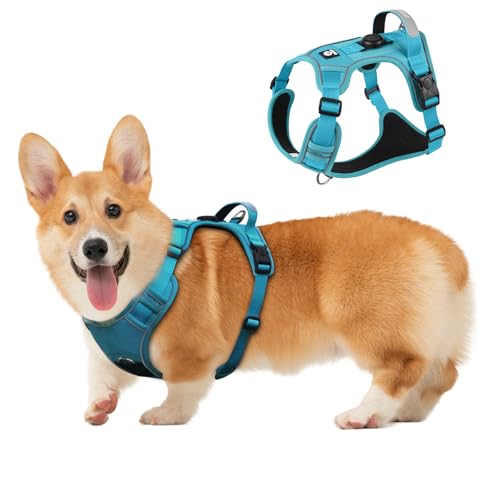 Hundegeschirr mit Tracker-Tag-Halter, verstellbare ausbruchsichere Weste für kleine Hunde, kein Würgen, reflektierendes Geschirr mit Griff für einfache Kontrolle, strapazierfähig für Training, Wandern Hundegeschirr mit Tracker-Tag-Halter, verstellbare ausbruchsichere Weste für kleine Hunde, kein Würgen, reflektierendes Geschirr mit Griff für einfache Kontrolle, strapazierfähig für Training, Wandern von skmeditec