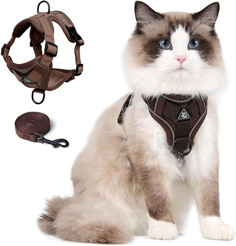 Katzengeschirr und Leine, verbesserte ausbruchsichere, verstellbare Weste mit Leine für große Katzen, kleine Hunde, Welpen, Spaziergänge im Freien, weiche, atmungsaktive Netzjacke mit reflektierenden Katzengeschirr und Leine, verbesserte ausbruchsichere, verstellbare Weste mit Leine für große Katzen, kleine Hunde, Welpen, Spaziergänge im Freien, weiche, atmungsaktive Netzjacke mit reflektierenden von skmeditec