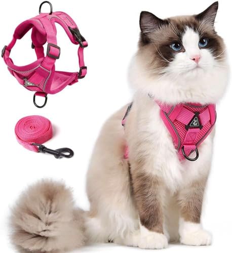 Skmeditec Katzengeschirr mit Leine: Katzengeschirr mit Leine Ausbruchsicher Weste mit Leine für Große Katzen, Kleine Hunde, Welpen, Spaziergänge, Weiche Jacke, reflektierende Streifen, Größe L, Rosa Skmeditec Katzengeschirr mit Leine: Katzengeschirr mit Leine Ausbruchsicher Weste mit Leine für Große Katzen, Kleine Hunde, Welpen, Spaziergänge, Weiche Jacke, reflektierende Streifen, Größe L, Rosa von skmeditec