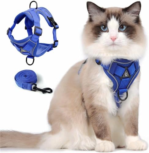 Skmeditec Katzen Geschirr mit Leine: Verbesserte Ausbruchsicher Weste mit Leine für Große Katzen, Kleine Hunde, Welpen, Spaziergänge, Weiche Jacke mit Reflektierenden Streifen, L Blau Skmeditec Katzen Geschirr mit Leine: Verbesserte Ausbruchsicher Weste mit Leine für Große Katzen, Kleine Hunde, Welpen, Spaziergänge, Weiche Jacke mit Reflektierenden Streifen, L Blau von skmeditec