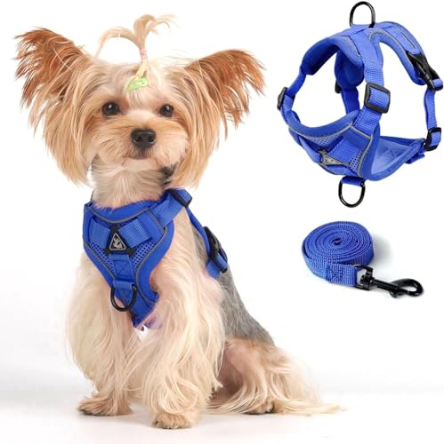 Weste Geschirr Leinen Set für kleine Hunde große Katzen, Ausbruchsicher Verstellbare Jacke mit Leine für Dicke Katzen, Die im Freien Spazieren Gehen, Weicher Netzmantel mit Reflektorstreifen, XL Blau Weste Geschirr Leinen Set für kleine Hunde große Katzen, Ausbruchsicher Verstellbare Jacke mit Leine für Dicke Katzen, Die im Freien Spazieren Gehen, Weicher Netzmantel mit Reflektorstreifen, XL Blau von skmeditec