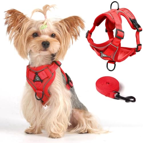Weste Geschirr Leinen Set für Kleine Hunde Große Katzen, Ausbruchsicher Verstellbare Jacke mit Leine für Welpen Dicke Katzen zum Spazierengehen im Freien, Netzmantel mit Reflektorstreifen, XL, Rot Weste Geschirr Leinen Set für Kleine Hunde Große Katzen, Ausbruchsicher Verstellbare Jacke mit Leine für Welpen Dicke Katzen zum Spazierengehen im Freien, Netzmantel mit Reflektorstreifen, XL, Rot von skmeditec