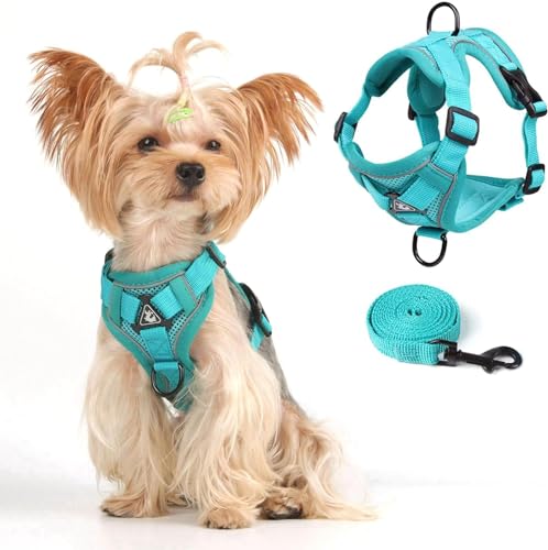 Weste Geschirr Leinen Set für Kleine Hunde und Große Katzen, Katzen Geschirr Set mit Leine Ausbruchsicher Verstellbare Jacke für Dicke Katzen, Weicher Netzmantel mit Reflektorstreifen, XL Grün Weste Geschirr Leinen Set für Kleine Hunde und Große Katzen, Katzen Geschirr Set mit Leine Ausbruchsicher Verstellbare Jacke für Dicke Katzen, Weicher Netzmantel mit Reflektorstreifen, XL Grün von skmeditec