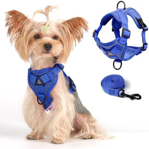 Westengeschirr-Set für kleine Hunde, große Katzen, verbesserte ausbruchsichere, verstellbare Jacke mit Leine für Welpen, dicke Katzen, Spaziergänge im Freien, weicher, atmungsaktiver Netzmantel mit Westengeschirr-Set für kleine Hunde, große Katzen, verbesserte ausbruchsichere, verstellbare Jacke mit Leine für Welpen, dicke Katzen, Spaziergänge im Freien, weicher, atmungsaktiver Netzmantel mit von skmeditec