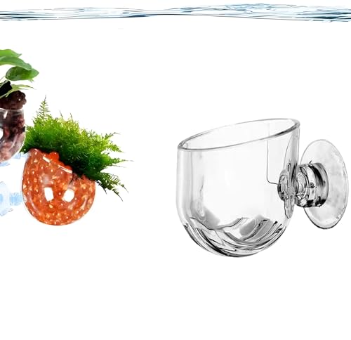 Skyrabbiter Aquarium Acryl Pflanzhalter mit Saugnapf, 5 Stück, 3,8 x 4 cm, Futterbehälter Aquarium für Garnelen, Fisch, Acryl Aquarium Wurm Feeder, Runder Boden Aquarium Futterschale (1Pc) von skyrabbiter