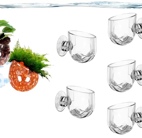 Skyrabbiter Aquarium Acryl Pflanzhalter mit Saugnapf, 5 Stück, 3,8 x 4 cm, Futterbehälter Aquarium für Garnelen, Fisch, Acryl Aquarium Wurm Feeder, Runder Boden Aquarium Futterschale (5Pc) von skyrabbiter