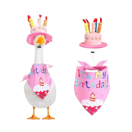 Skyrabbiter Geburtstags-Garten-Gans-Kostüm Set Gans Outfit Veranda Gans Kleidung Haustier Kostüm Warm Hoodie Halloween Weihnachten Haustier Bekleidung Cosplay für Outfits Veranda Gans Hund (A) von skyrabbiter