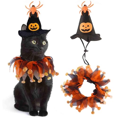 Skyrabbiter Halloween Haustier Kostüm Set, Hexenhut mit Kürbis Design und Kragen Katze Gruselige Spider Kostüm Halloween Horror Cosplay Zubehör für Hund Katze Haustier Fasching Karneval Halloween (A) von skyrabbiter
