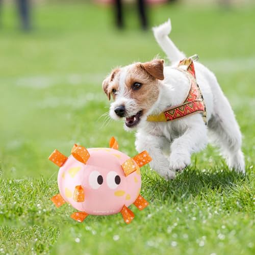 skyrabbiter Interaktives Hundespielzeug, Plüsch Spielball mit Sternen-Design, Robustes Kauspielzeug, Futtersuche Instinkt Training, Stressabbau Langeweile, Für Große, Mittlere und Kleine Hunde (B) von skyrabbiter
