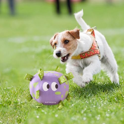 skyrabbiter Interaktives Hundespielzeug, Plüsch Spielball mit Sternen-Design, Robustes Kauspielzeug, Futtersuche Instinkt Training, Stressabbau Langeweile, Für Große, Mittlere und Kleine Hunde (C) von skyrabbiter