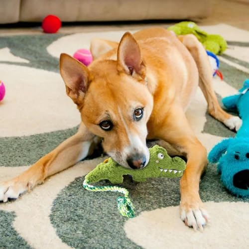 skyrabbiter Interaktives Hundespielzeug, für Aggressive Kauer, Plüsch-Krokodil Design, interaktives, Robustes Hundespielzeug für mittelgroße und große Hunde, Robustes gedrehtes Seilspielzeug (A) von skyrabbiter