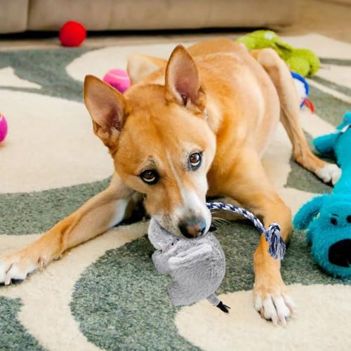 skyrabbiter Interaktives Hundespielzeug, für Aggressive Kauer, Plüsch-Krokodil Design, interaktives, Robustes Hundespielzeug für mittelgroße und große Hunde, Robustes gedrehtes Seilspielzeug (B) von skyrabbiter