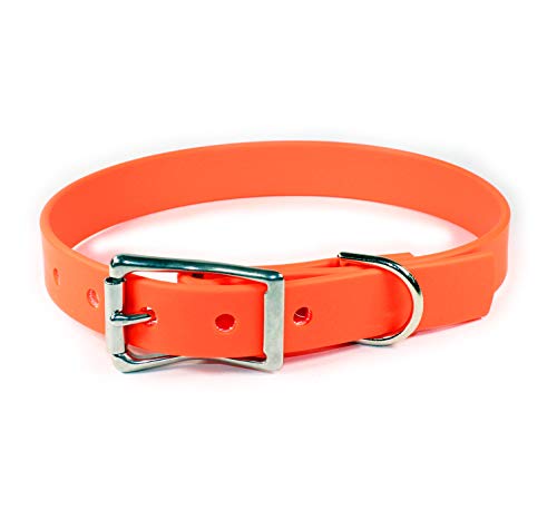 Hundehalsband, wasserdicht, Größe M: 35,6 - 45,7 cm, Orange von sleepy pup