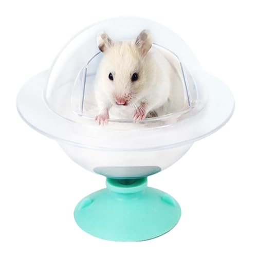 Großer Hamster-Sandbad-Behälter, leicht zu reinigen, auslaufsicher, vollständig transparente Wanne für Syrer-, Zwerg- und Rennmäusehamster, perfekte Chinchilla-Badeschüssel Großer Hamster-Sandbad-Behälter, leicht zu reinigen, auslaufsicher, vollständig transparente Wanne für Syrer-, Zwerg- und Rennmäusehamster, perfekte Chinchilla-Badeschüssel von smai