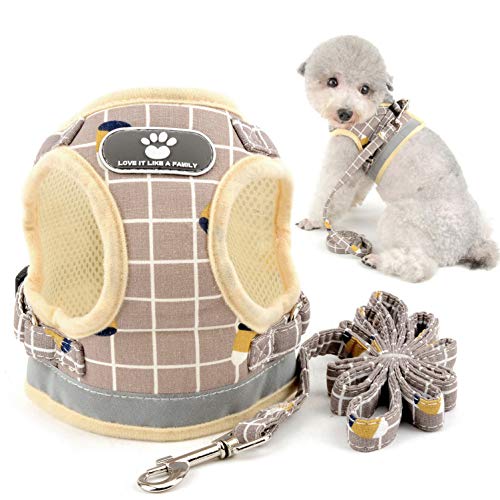 Hundegeschirr, Weste und Leine für kleine Rassen, Hunde/Katzen, reflektierend, kein Ziehen, weiches Nylon-Netz, gepolsterte Jacke, 2 D-Ring-Schnalle, verstellbar für Spaziergänge, Wandern, Outdoor Hundegeschirr, Weste und Leine für kleine Rassen, Hunde/Katzen, reflektierend, kein Ziehen, weiches Nylon-Netz, gepolsterte Jacke, 2 D-Ring-Schnalle, verstellbar für Spaziergänge, Wandern, Outdoor von smalllee_lucky_store