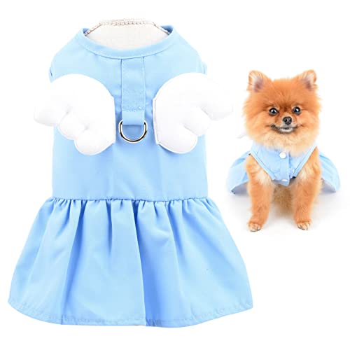 SMALLLEE_LUCKY_STORE Angel Wing Mädchen Hundegeschirr Kleid und Leine, Set Katze Sommerkleid mit D-Ring, Welpenrock, Frühling, Sommerkleidung für kleine Haustiere, Yorkie Chihuahua, Blau, L von smalllee_lucky_store